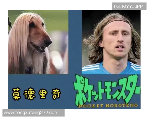 因撞动物而成名的足球明星及其经典事件盘点 因撞动物而成名的足球明星及其经典事件盘点